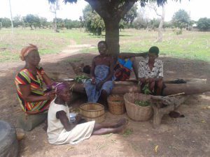 4d - Tierebs in-laws and neighbours